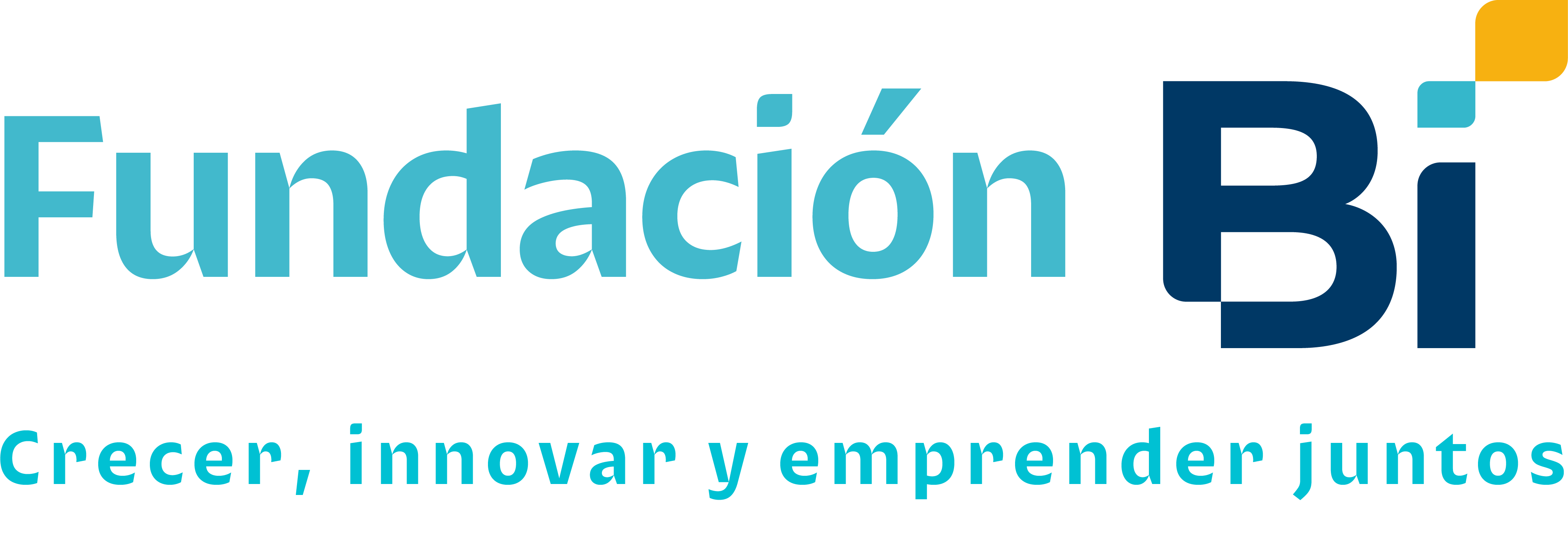 Fundación BI